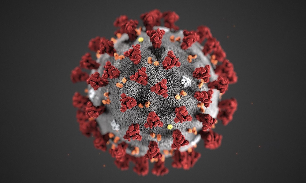 303 са новите случаи на коронавирус у нас при направени